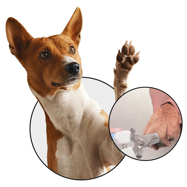 Tesoura Cortador Aparador de Unhas Para Cachorro Gato Top Cut - Shop Bem