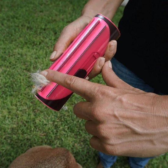 Escova Multifuncional Removedora de Pelos Animais Cachorro e Gato Maxtub -Remoção Pelos da Escova - Shop Bem