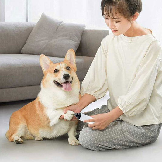 Mulher  Sentada no Chão da Sala Cortando as Unhas de Seu Cão Com o Cortador de Unhas Eletric Pets  - Shop Bem
