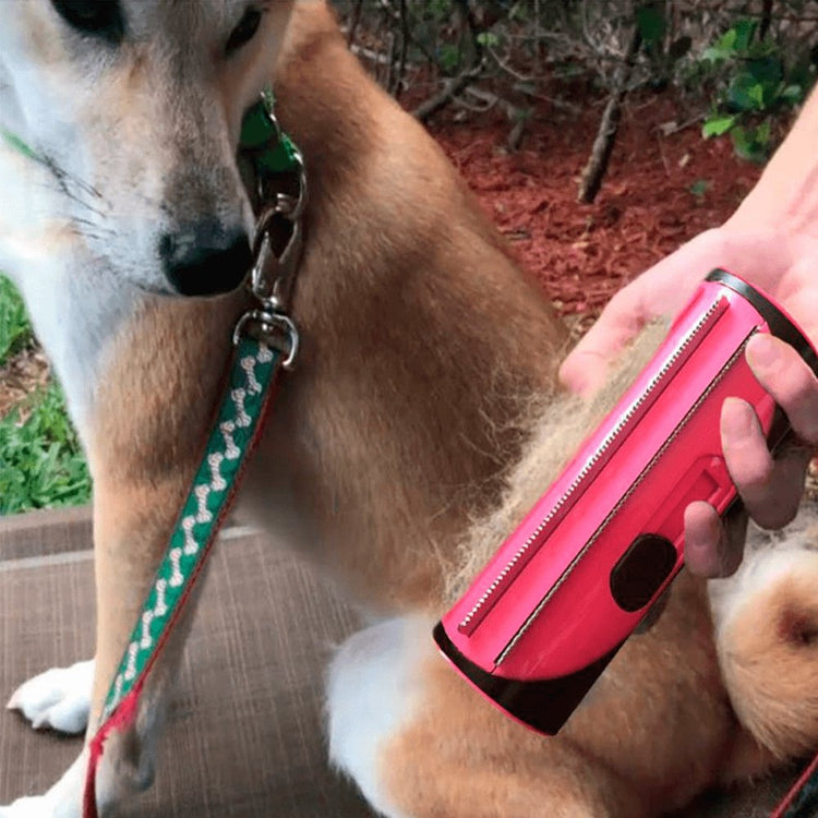 Pessoa Removendo Pelos de Um Cachorro com a Escova Multifuncional Removedora de Pelos Animais Cachorro e Gato Maxtub - Shop Bem