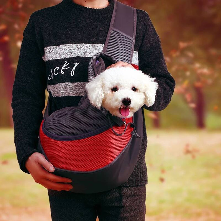 Rapaz com Uma Bolsa No Ombro de Cor Vermelha, Transportando Um Cachorrinho Branco - Shop Bem